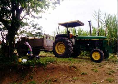 The tractor was a John Deere, but was reffered to as the Farmall by everyone. Go figure...