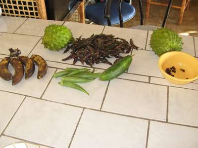 All from our property