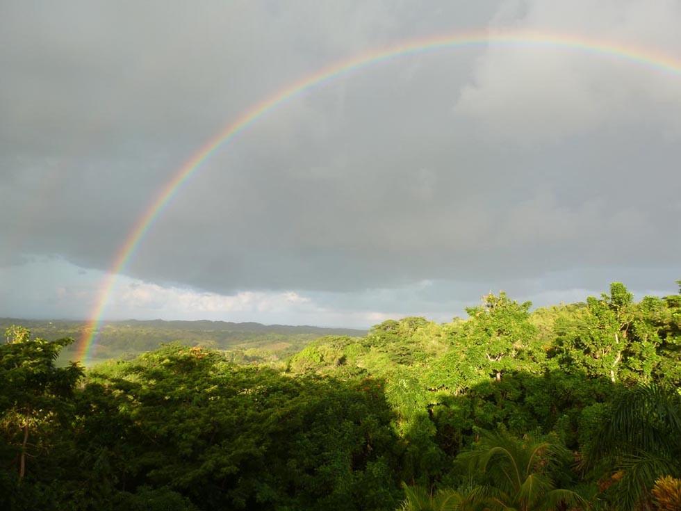 Rainbow
